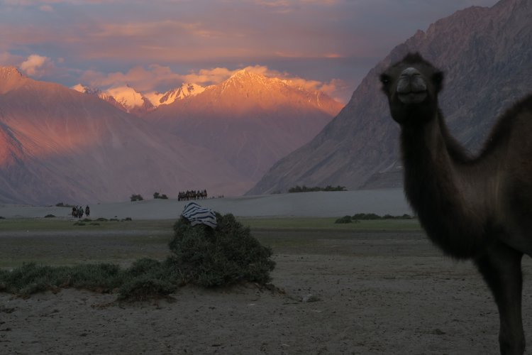 A review on High-Altitude Trekking in Ladakh, India