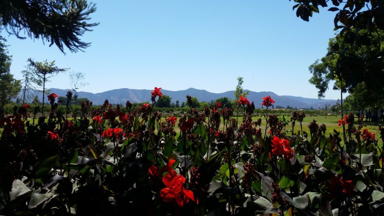 The Natural Beauty surrounding Santiago Chile