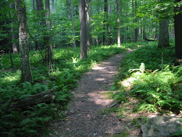 Trail Etiquette