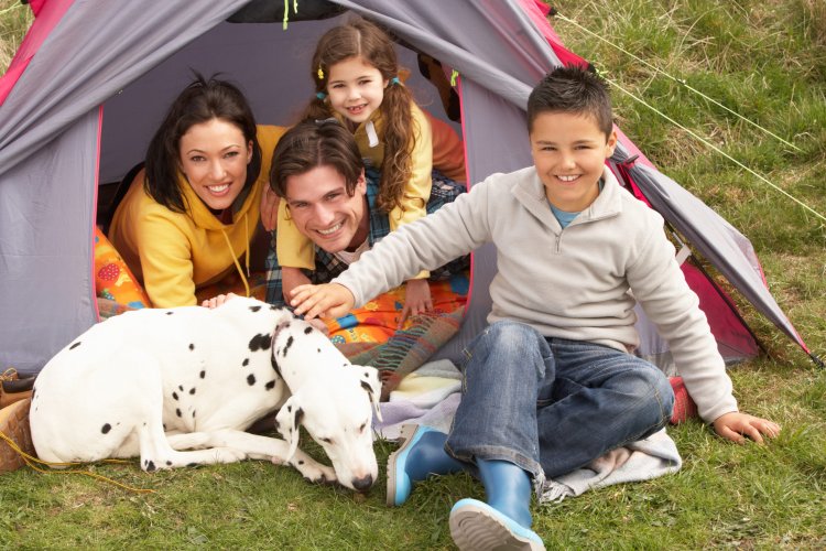 camping with pets