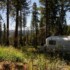 Boondocking1