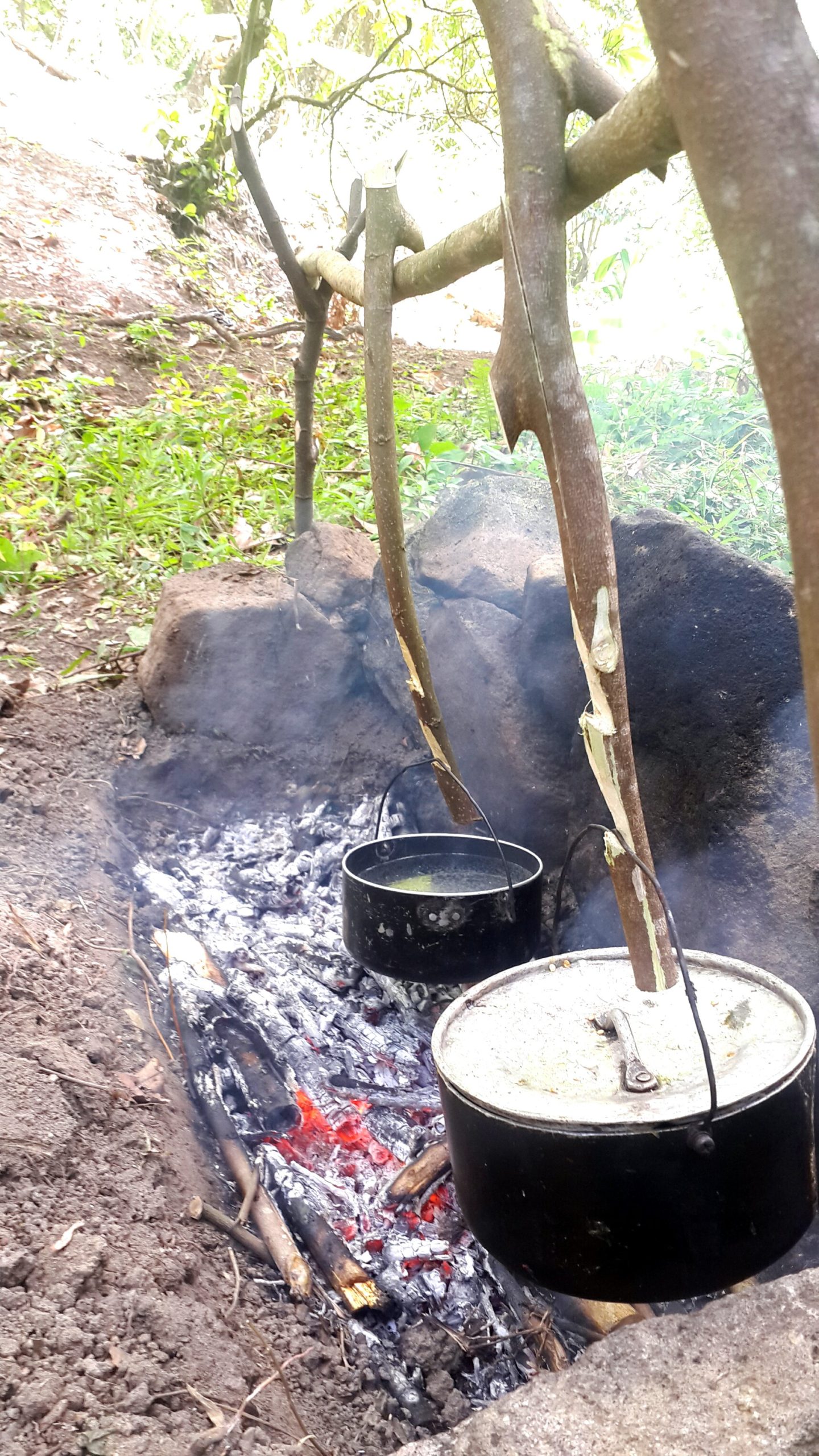 How to Build a Campfire for Cooking