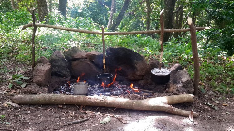 Campfire Cooking