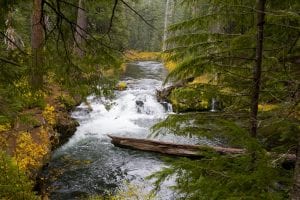 Natural Bridge Campground 5