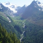 Hiking the Hoh Rainforest 2