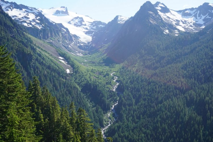 Hiking the Hoh Rainforest 2