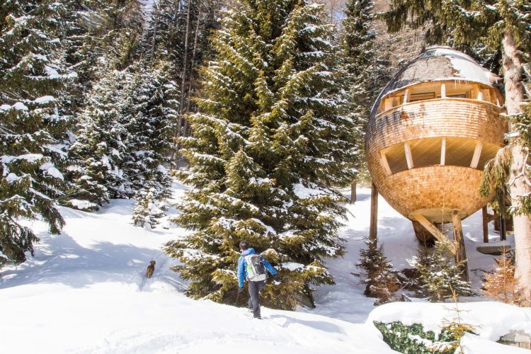 Top 4 Amazing Tree House Hotels in Italy 1