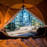 Camping and Being Outdoors For a Fast Medical Recovery 1