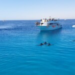 Red Sea Riviera 21