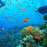 Andaman Islands 1