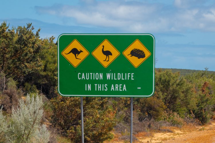 Australian Camping Tips 1