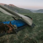 A guide to camping with your dog