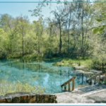 Freshwater Springs at Ichetucknee