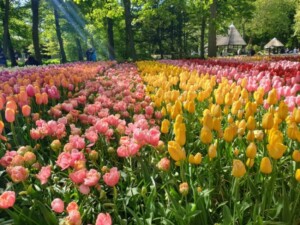 Keufenhof Gardens, The Netherlands