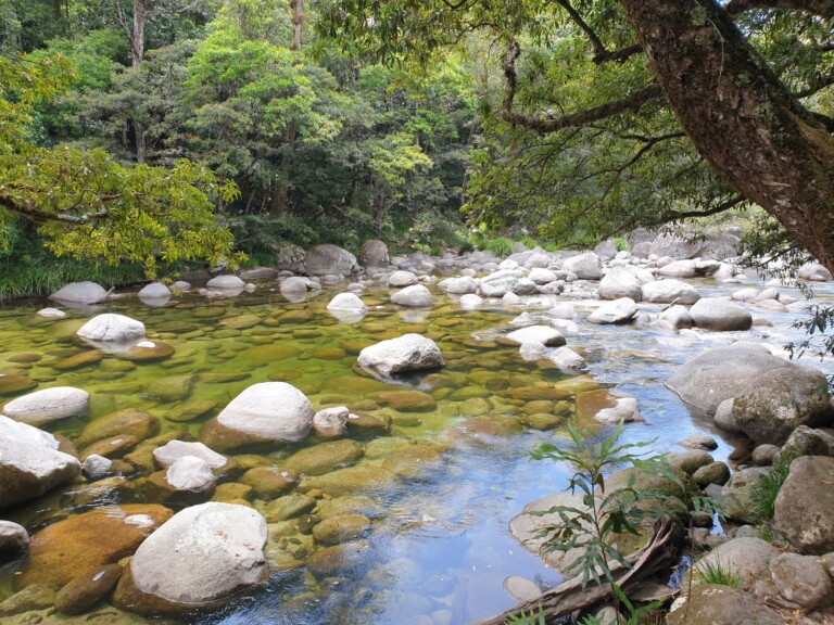 Mossman Gorge in the Daintree Rainforest