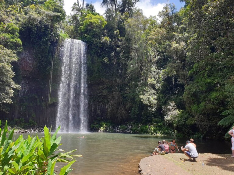 Atherton Tablelands 1