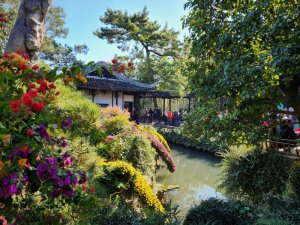 Gardens close to captivating Shanghai