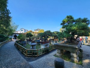 Bonsai section of Lingering Gardens, Suzhou