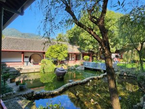 Gardens at tea plantation Hangzhou China