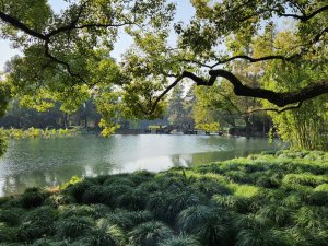 West Lake area, China