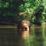 Bathing in Rivers and Lakes