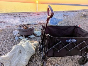 Elegear Folding Wagon Assessment – adaptable outside – Tenting for Girls