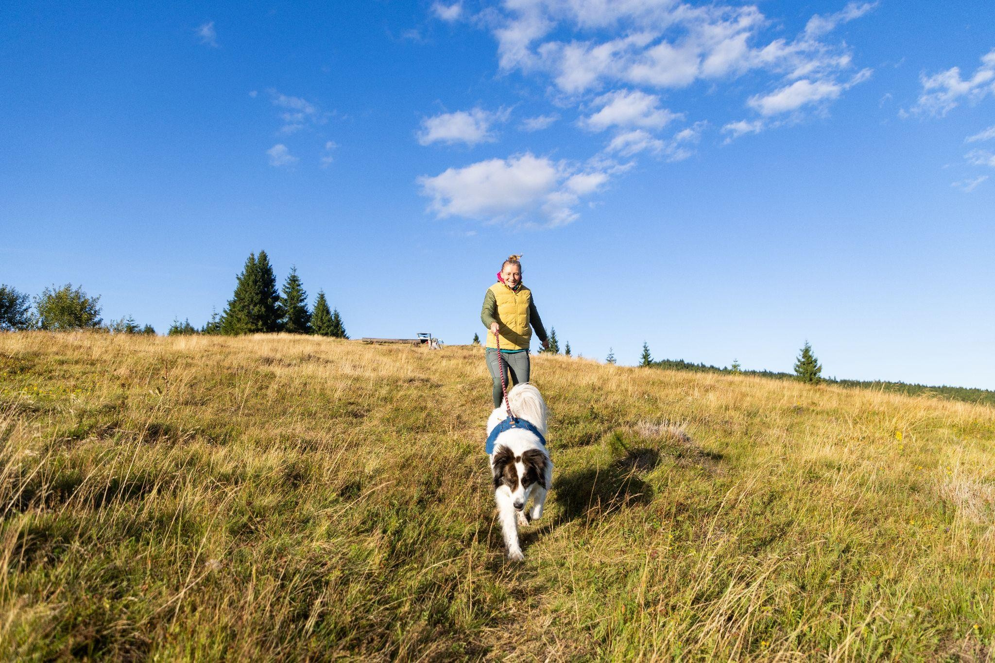 Top Dog Breeds That Love the Outdoors
